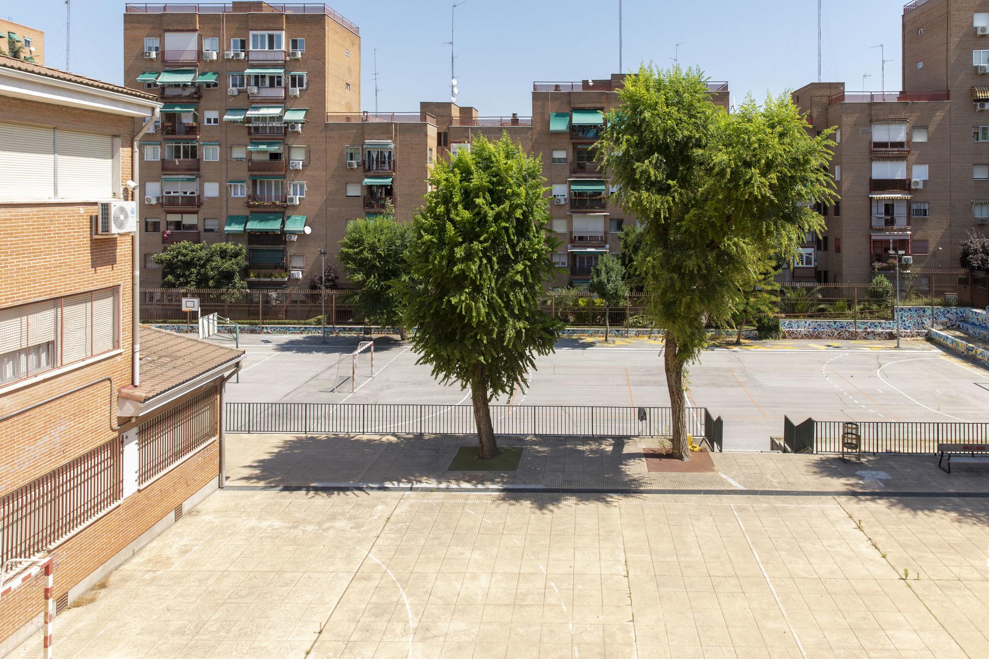 Colegio educacion primaria - 6